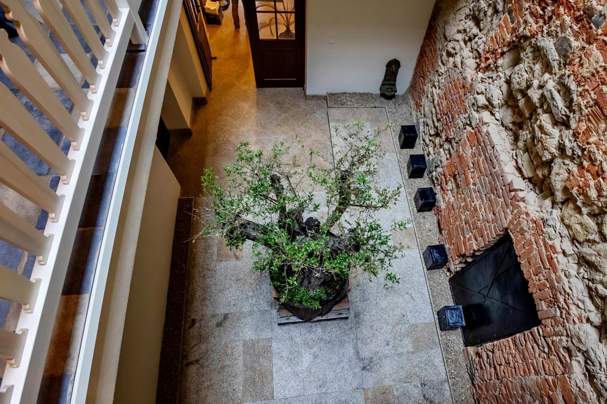 Lubartowska 19 Apartamenty Люблин Экстерьер фото